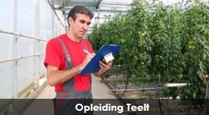 Opleiding Teelt